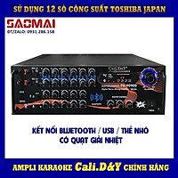 Amply Bluetooth Ampli Karaoke Gia đình 12 sò lớn Cali.D&Y PA-9090D - Hàng chính hãng