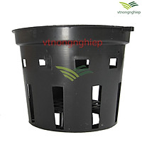 Chậu nhựa trồng lan phi 14-16 cm