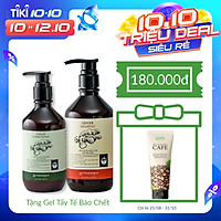 Combo Dầu gội,xả gừng - COCAYHOALA