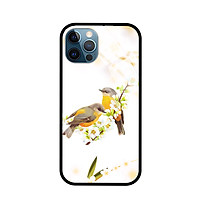 Ốp Lưng Kính Cượng Lực Cho Điện Thoại IPHONE 12 / 12 PRO - 8172 B02 - Hàng Chính Hãng