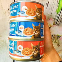 COMBO 3 HỘP PATE NHIỀU VỊ GÀ CÁ CUA CHO MÈO - SP005046