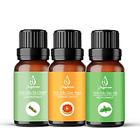 Combo tinh dầu xông phòng thư giãn: Tinh dầu Sả Chanh - Tinh dầu Bạc Hà - Tinh dầu Cam Ngọt 10ml/chai JULYHOUSE