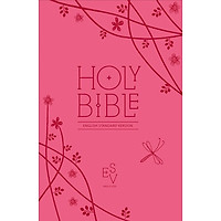 Holy Bible : English Standard Version (Esv) Anglicised Pink Compact Gift Edition with Zip