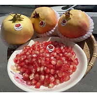 LỰU THÁI - KG