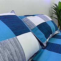 Drap Giường Ga Giường Cotton Thắng Lợi Mẫu Mới Mát Mềm Mịn Đẹp Vượt Thời Gian