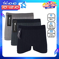 Combo 3 Chiếc Quần Lót Nam Boxer Chất Liệu Sợi Tre Bamboo Cao Cấp Aristino AD 15 Kháng Khuẩn, Mạnh Mẽ, Nam Tính - Hàng Chính Hãng