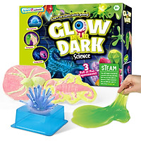 STEAM Chemical Science Experiment Glowing Slime Crystal Growing Gypsum Animals 3-in-1 Educational Craft DIY Projects