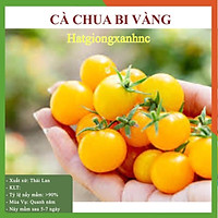 Gói 30 Hạt giống cà chua bi lùn vàng - Rau củ quả trồng tại vườn, sân thượng, nông trang, ban công