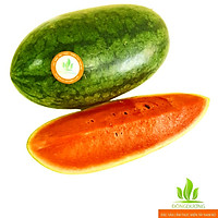Dưa hấu Sài Gòn - 1 quả 2,9 kg - 3, 2 kg