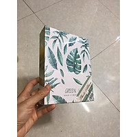 Album 13x18 đựng 100 ảnh mẫu lá
