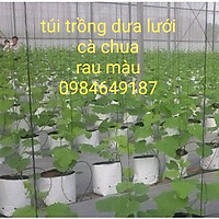 Túi PE 40 x 20 cm Trắng Đen trồng Dưa Lưới, Dưa Chuột, Nhà Kính, Nhỏ Giọt - Bền 3 - 4 Vụ (Cái)