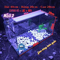 Bể cá mini COMBO ĐẦY ĐỦ dành cho nuôi cá cảnh phong thủy mini