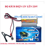 Bộ kích điện 12v lên 220v 220W