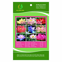 Hạt giống hoa Sen nhật mini Mix Golden Seeds 5 Hạt