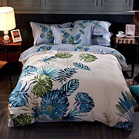 Bộ Drap Và Chăn Chần Cotton VH5-160-C-02 (1.6 x 2 m)