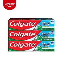 Bộ 3 Kem Đánh Răng Colgate Herbal Salt Muối Thảo Dược 225g/tuýp x 3