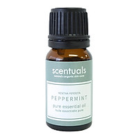 Tinh dầu bạc hà âu - Pure essential oil 10 ml - PEPPERMINT