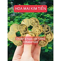 HOA MAI KIM MẠ VÀNG CHIÊU TÀI KÍCH LỘC ĐỂ BÓP VÍ - ĐÃ CHÚ