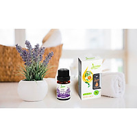 Tinh Dầu Oải Hương Leviter 10ml Tặng Kèm Tinh Dầu Thảo Mộc Đuổi Muỗi (10ml x 2 chai)