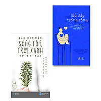 Combo 2 cuốn: Bạn Chỉ Cần Sống Tốt, Trời Xanh Tự An Bài + Lấp Đầy Trống Rỗng-Chữa Lành Tổn Thương Cảm Xúc Thời Thơ Ấu