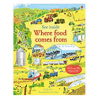 Usborne See Inside Where food comes from