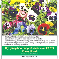 Hạt Giống Hoa Pansy (Bướm Đa Sắc) Mix Nhiều Màu