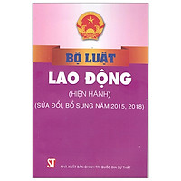 Bộ Luật Lao Động (Hiện Hành)