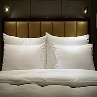 Ruột Gối Resort Cao Cấp - Vinpearl/Vinhomes - Lông Vũ Nhân Tạo