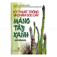 Kỹ Thuật Trồng Và Chăm Sóc Cây Măng Tây Xanh