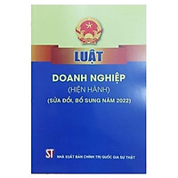 Luật Doanh Nghiệp (Hiện Hành) (Sửa Đổi, Bổ Sung Năm 2022)