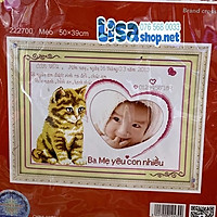 Tr anh thêu chữ thập con mèo có lông hình 50x39cm chưa thêu 222700