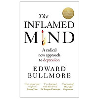 The Inflamed Mind