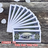 Combo 10 tờ lưu niệm hình con Trâu của Lào, dùng để sưu tầm, lưu niệm, làm tiền lì xì độc lạ, may mắn, ý nghĩa - TMT Collection - SP005072