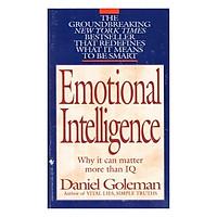 Emotional Intelligence: Why It Can Matter More Than IQ