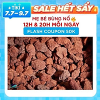 Đá nham thạch (2kg) vật liệu lọc, trang trí bể cá