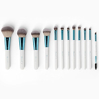 Bộ 12 Cọ BH Cosmetics Poolside Chic