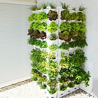 Khung Trồng Rau Đứng ban Công Minigarden Vertical Nhập Khẩu, Phong Cách Châu Âu (1m2 gồm 8 moduel Vertical,1 khay hứng nước) Chất liệu nhựa PP chống UV. Có Kèm Dây Tưới Nhỏ giọt tự động 100% với năng suất rau đạt gấp 3 lần bình thường