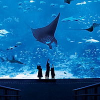 Vé Tham Quan Thủy Cung Sea Aquarium Singapore Tại Sentosa