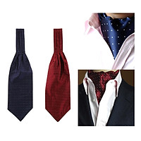 Set of 2 Men's Polka Dot Silk Cravat Ties Jacquard Woven Casual Ascot Gifts
