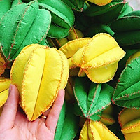 Đồ dùng mầm non giá rẻ- khế- Đồ chơi tự tạo-Đồ chơi vải nỉ
