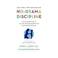 No-Drama Discipline : The Whole-Brain Way to Calm the Chaos and Nurture Your Child's Developing Mind