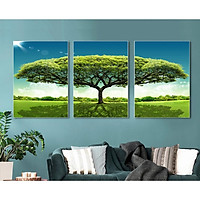 Bộ tranh treo tường phong thủy trang trí nội thất thị trường ĐL 57