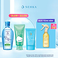 Bộ sản phẩm Senka làm sạch và chống nắng dành cho da mụn (Senka A.L.L.Clear Water Fresh 230ml + SRM Acne Care 100g + Senka Perfect UV Essence 50g)