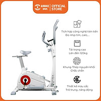 Xe đạp thể dục toàn thân liên hoàn Airbike Sport - Hàng chính hãng