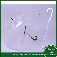 Dù Trong Suốt - Màu Trắng - Free Ship Toàn Quốc