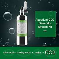 Bình Bơm Trộn Khí CO2 Bằng Thép Không Gỉ Cho Bể Cá