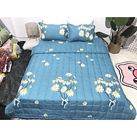 Bộ Chăn Ga Gối Hè Thu 5 Món (Gồm 1 Chăn hè chần bông+ 1 Ga bo chun+ 2 Vỏ gối nằm+1 Vỏ gối ôm) Mã CH205