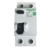 Cầu dao chống giật Schneider RCCB - Aptomat chống giật từ 25A đến 63A chính hãng