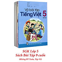 Sách Giáo Khoa Bộ Lớp 5 - Sách Bài Tập (Bộ 9 Cuốn - Không BT Toán, Tập Vẽ) (2021)