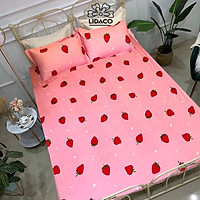 Ga Chống Thấm Cotton LIDACO Cao Cấp